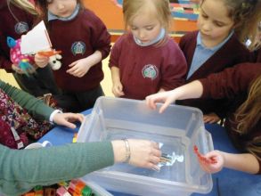 Pirate auditions and Floating & Sinking Trials in P1/2