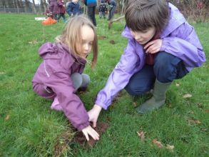 Planting Trees with P7 buddies!!