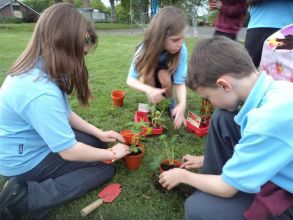 Gardening Club Springs Into Action in KPS