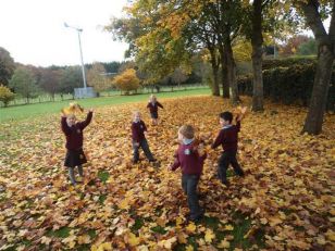 Autumn Walk