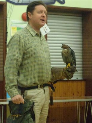 Bird of Prey Display