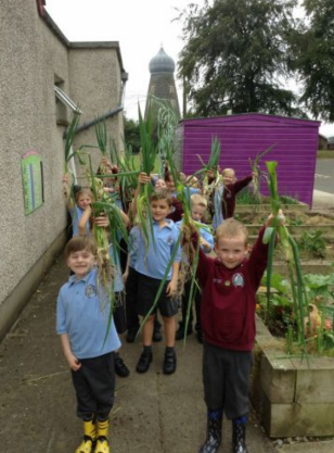 P2/3 learn about our sense of smell