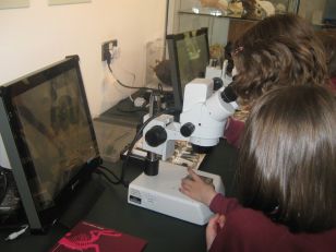 Primary 4/5 Trip to the Ulster Museum